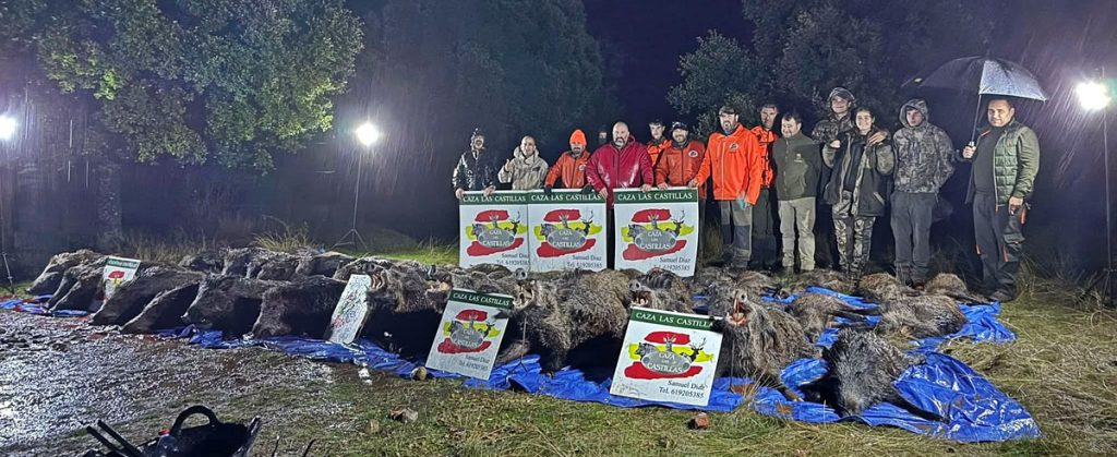 de Pedro con jabalíes