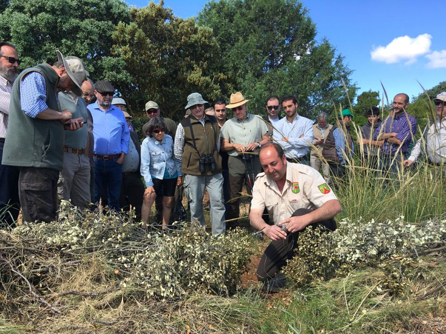 del control de Artemisan