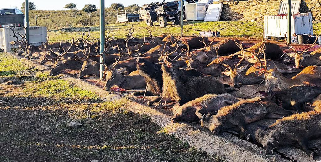en Calderones Cinegética