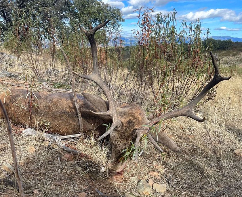 en El Barrancón montería
