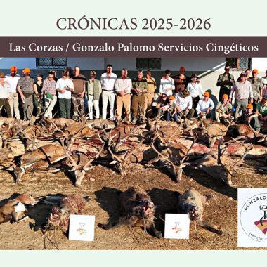 en Las Corzas montería