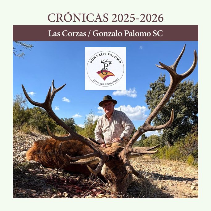 en Las Corzas montería