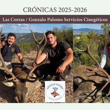 en Las Corzas montería