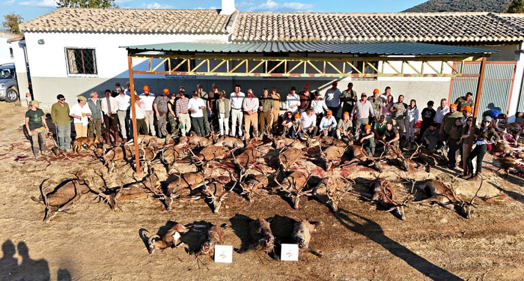 en Las Corzas montería