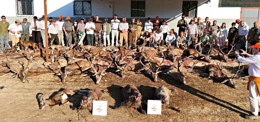 en Las Corzas montería