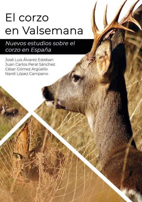 en Valsemana corzo