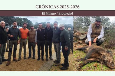 en familia y jabalíes