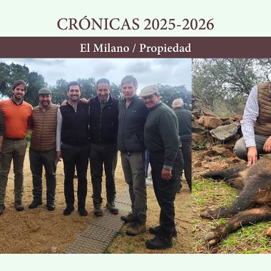 en familia y jabalíes