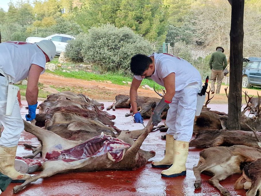sanitario de cazador