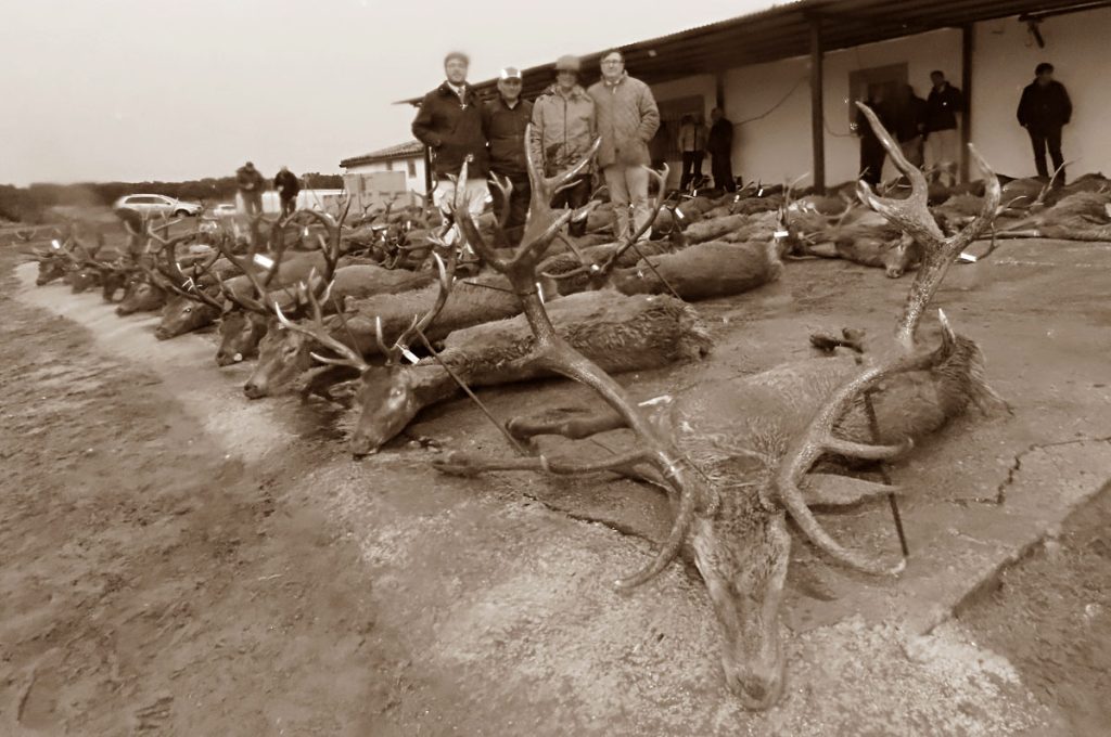 con Pelillo montería