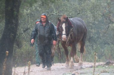 una montería lluvia