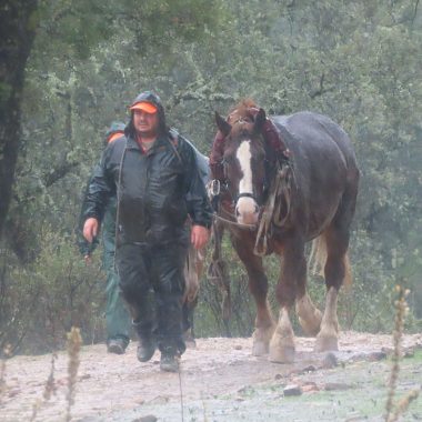 una montería lluvia