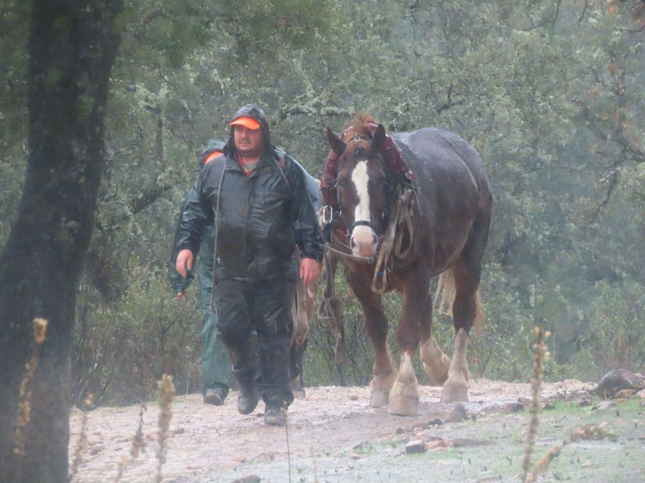 una montería lluvia