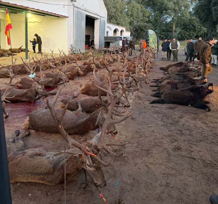 El Gargantón montería