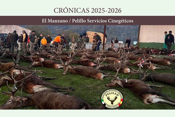 El Manzano Pelillo