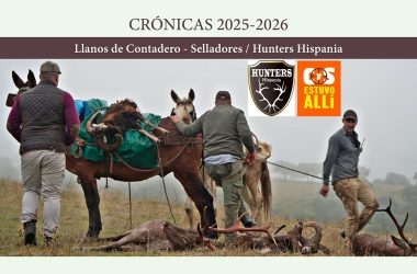 En Contadero montería