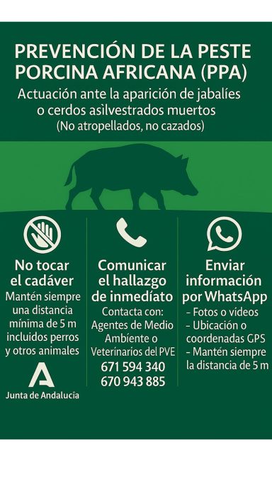 prevención peste porcina africana en Andalucía