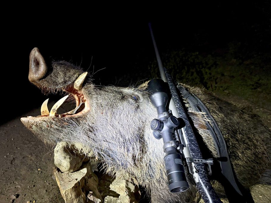 Pantera 640 eX LRF Nobel Sport Excopesa