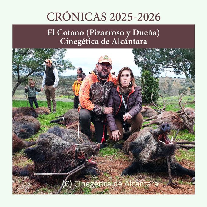 Y El Cotano Cinegética