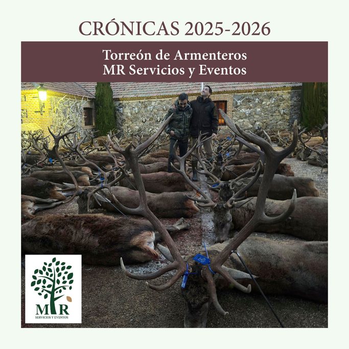 con MR Servicios montería 