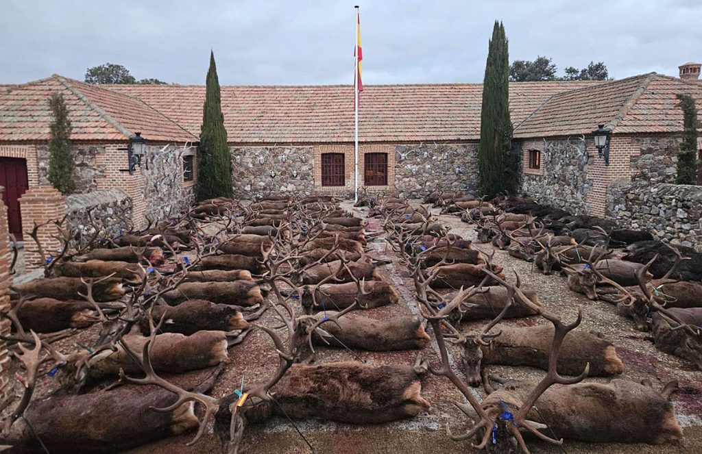 con MR Servicios montería