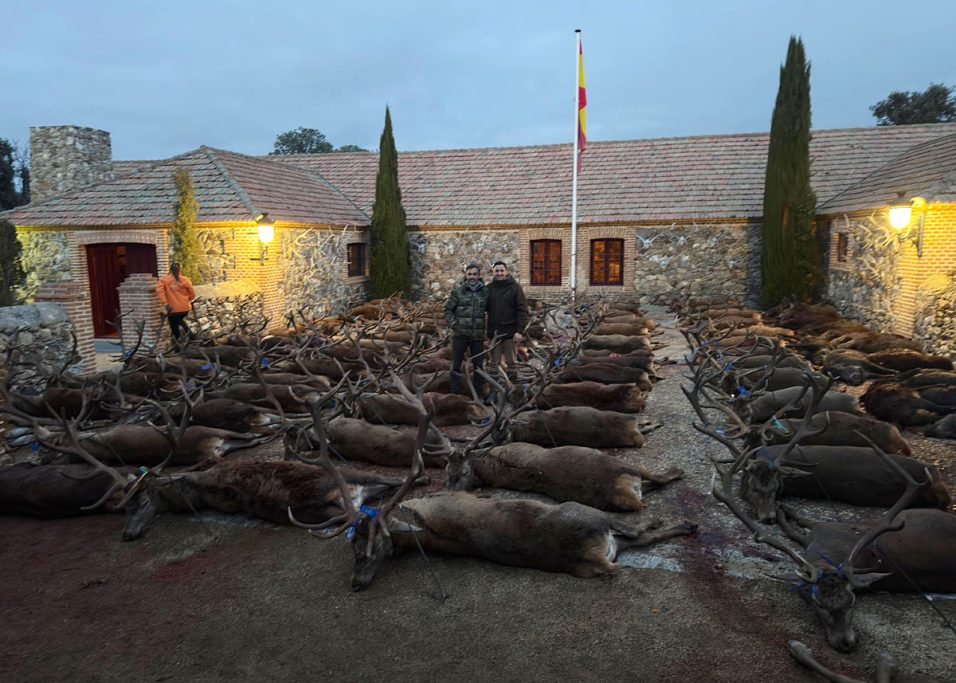 con MR Servicios montería