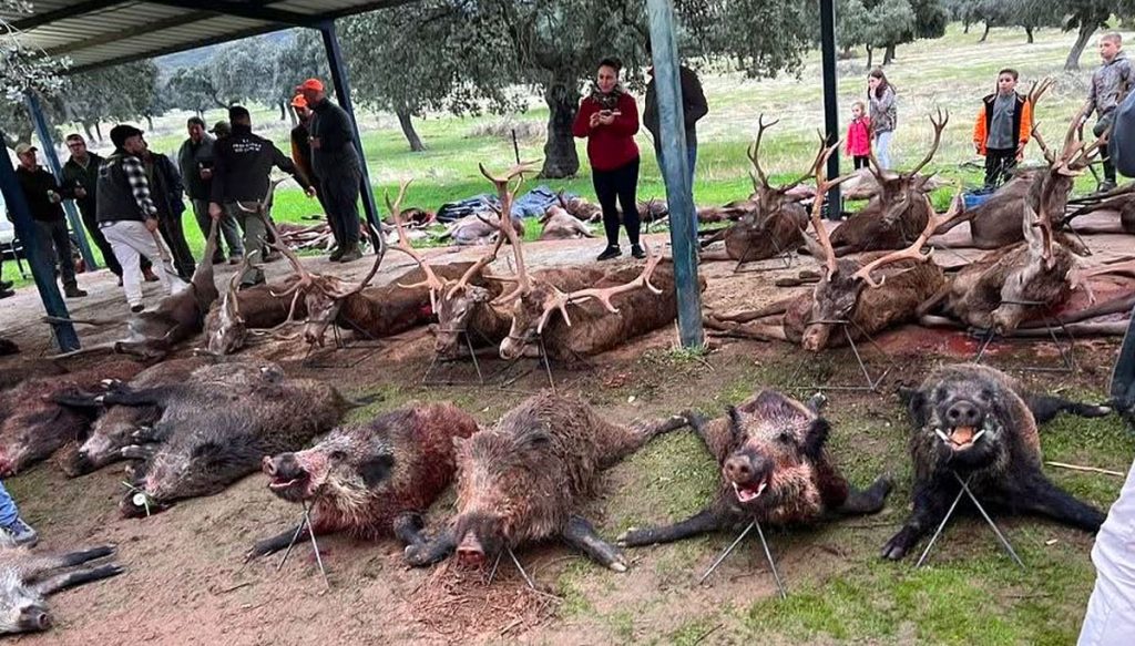 del Enjugadero montería 