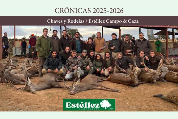en Chaves Estéllez