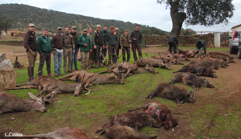 en El Casco monteros