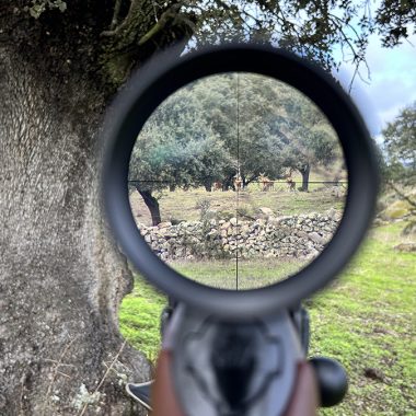 Escaparate Cinegética+SCI 2026