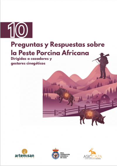 Preguntas y respuestas PPA