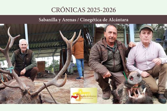 y Arenas montería
