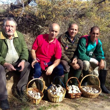 A setas con el decano