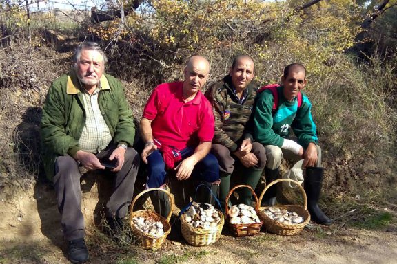 A setas con el decano