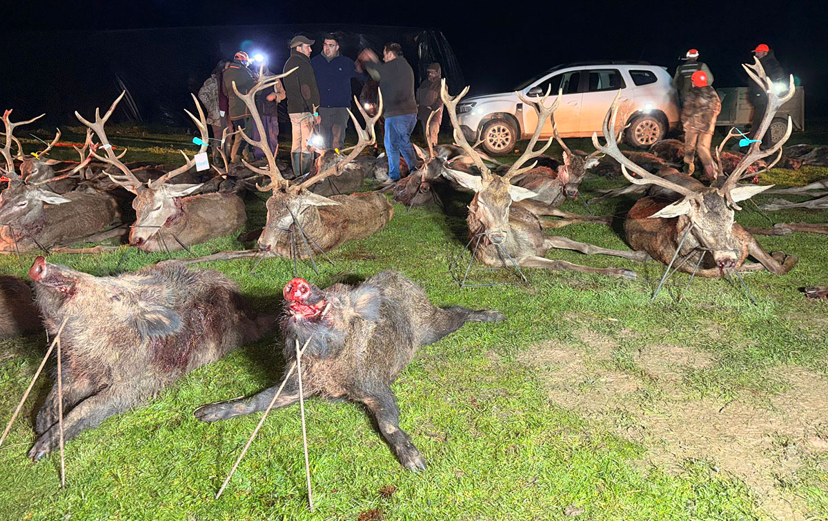 Aguas Viejas con montería