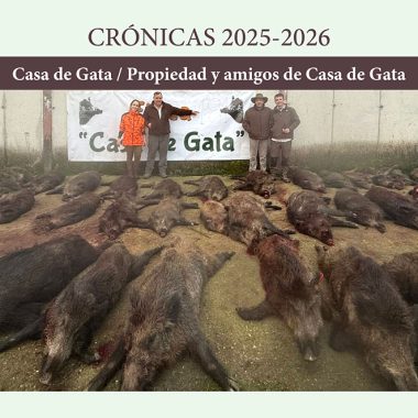 Casa de Gata jabalíes