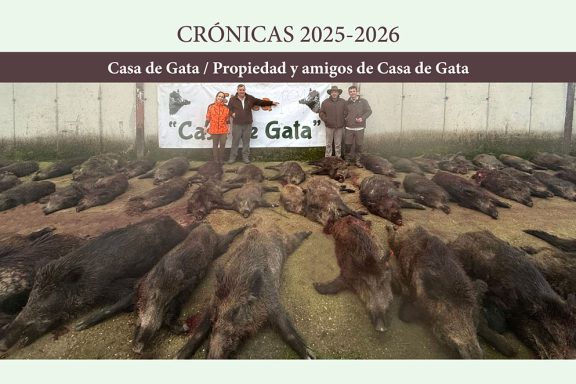 Casa de Gata jabalíes