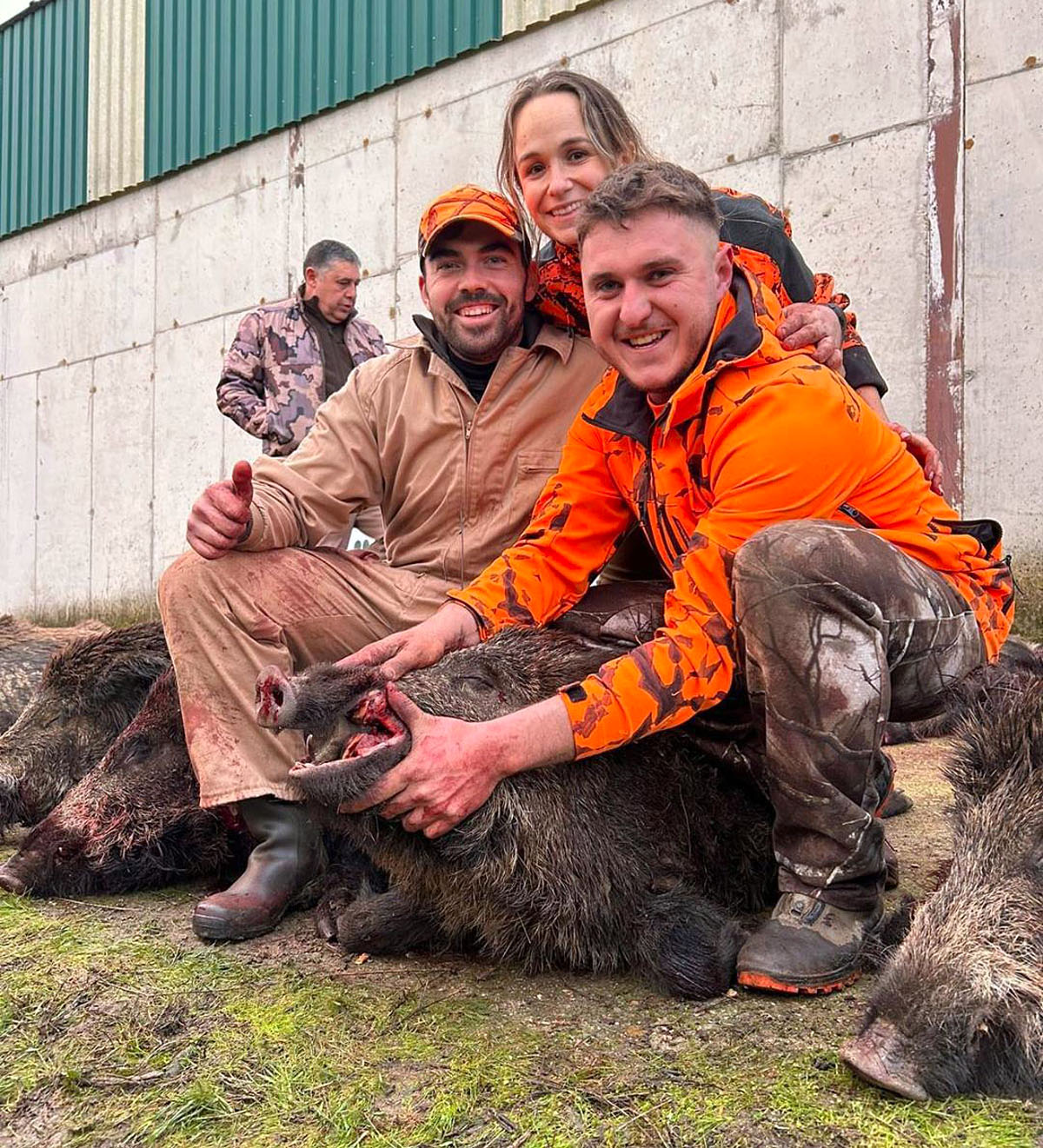 Casa de Gata jabalíes