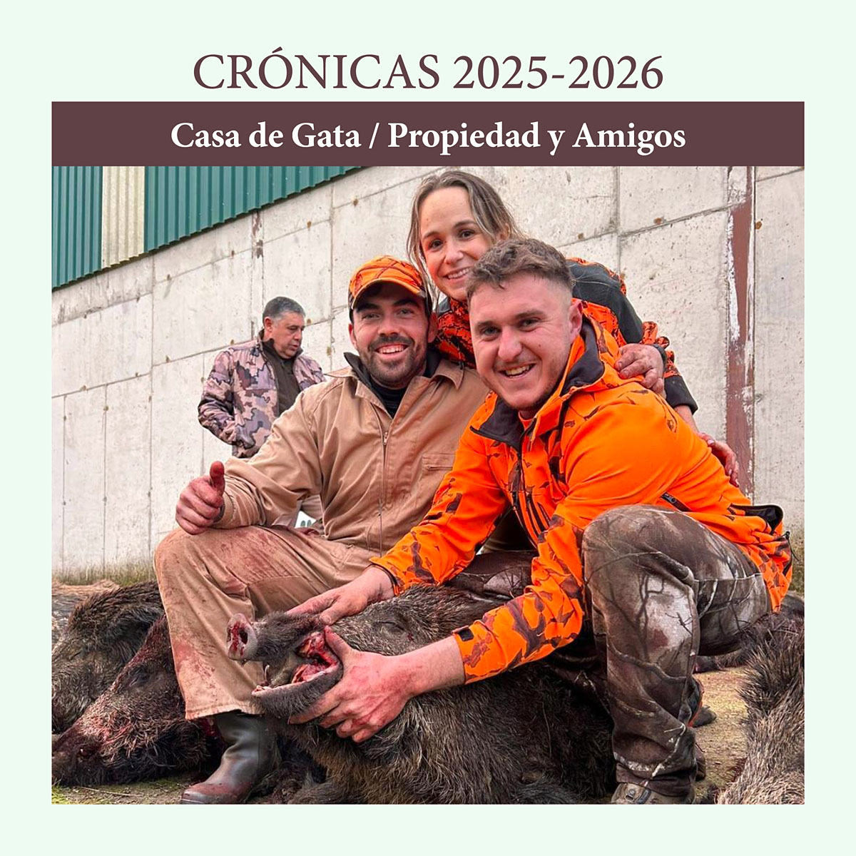 Casa de Gata jabalíes