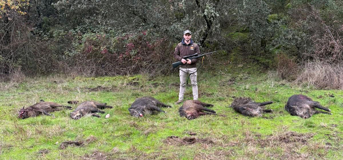 Casa de Gata jabalíes