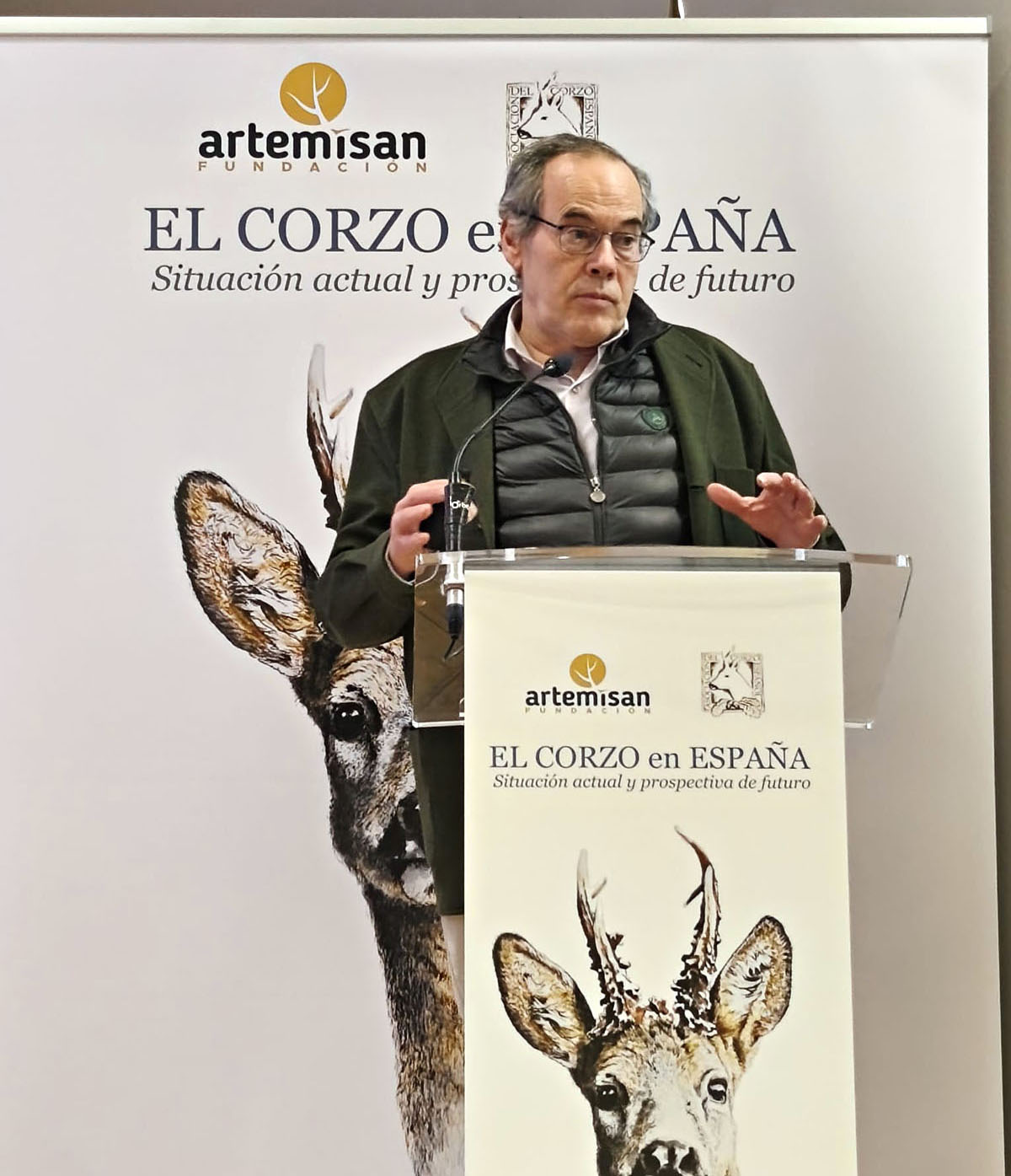 El corzo en Caza