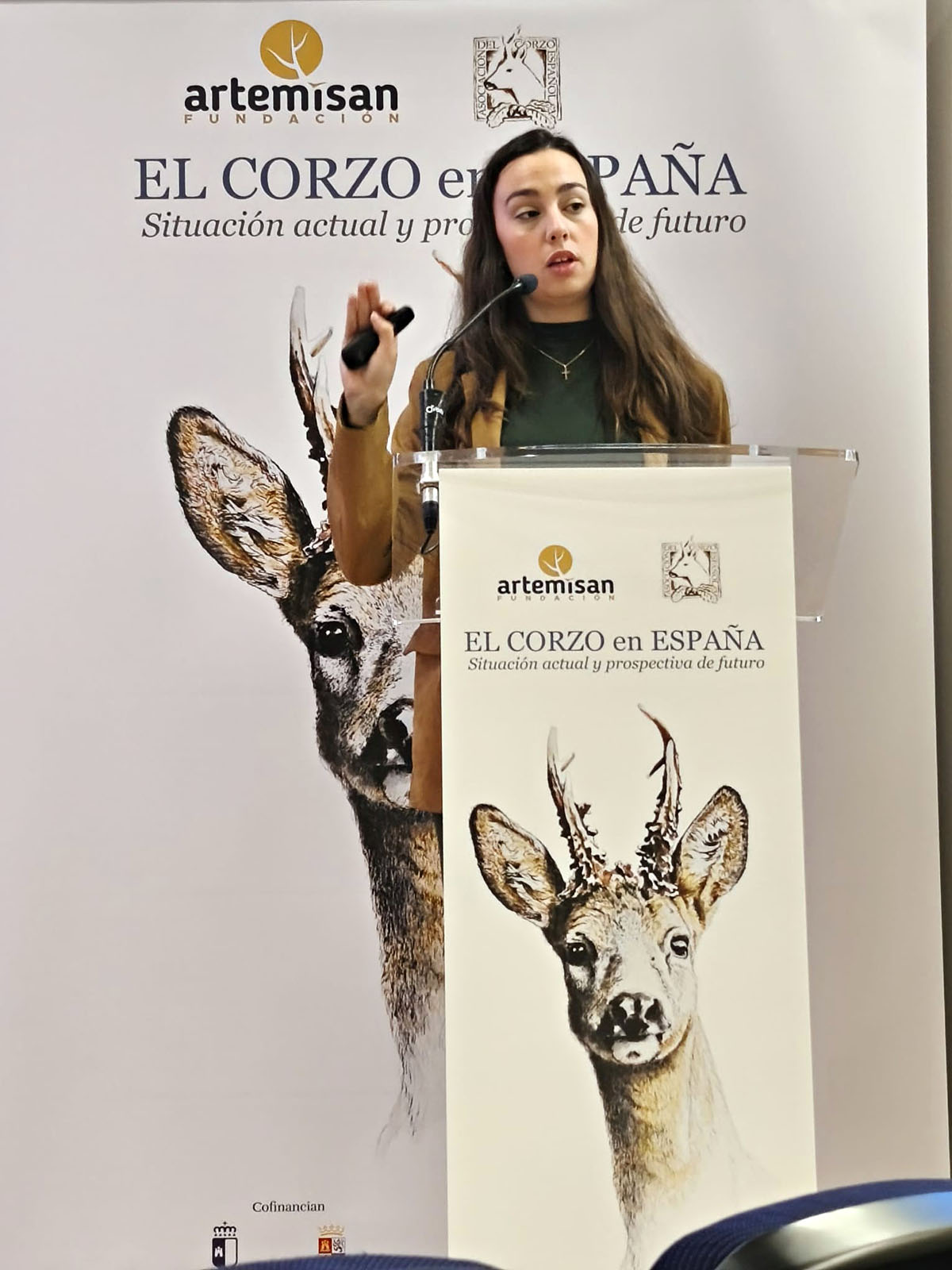 El corzo en Caza