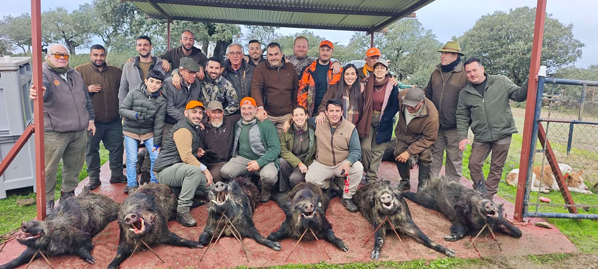 La Atalaya jabalíes