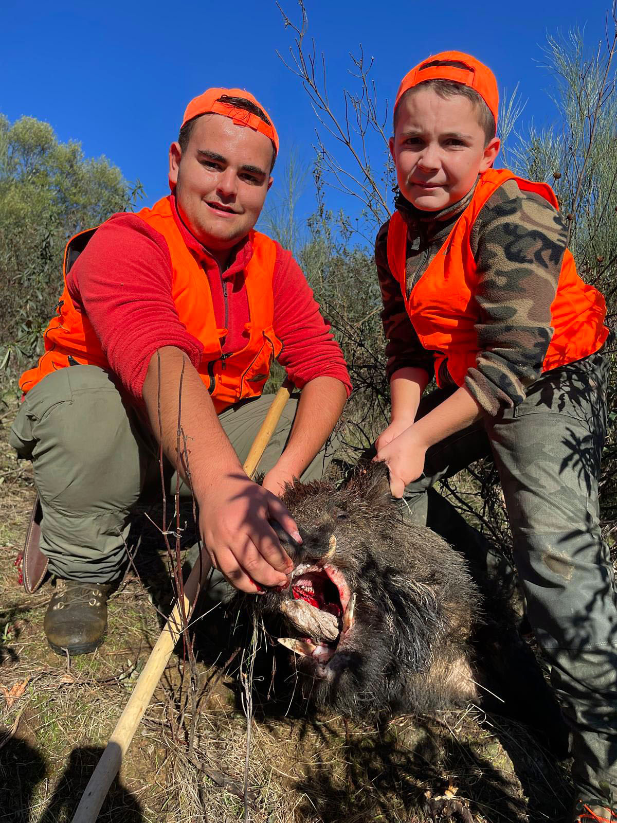 La Atalaya jabalíes