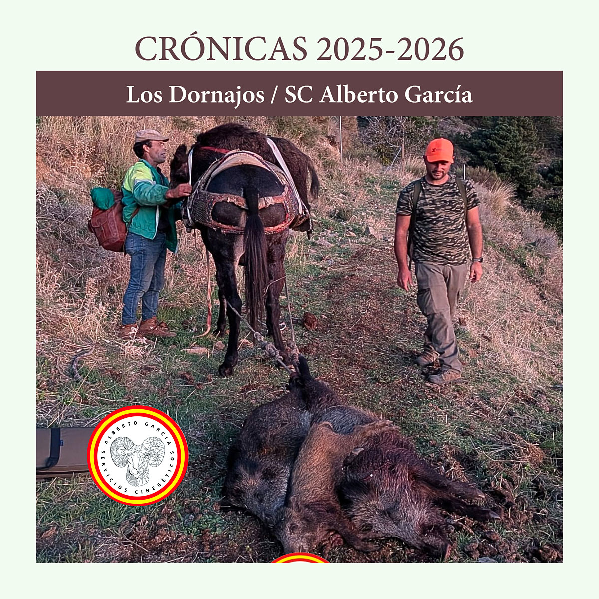 Los Dornajos jabalíes