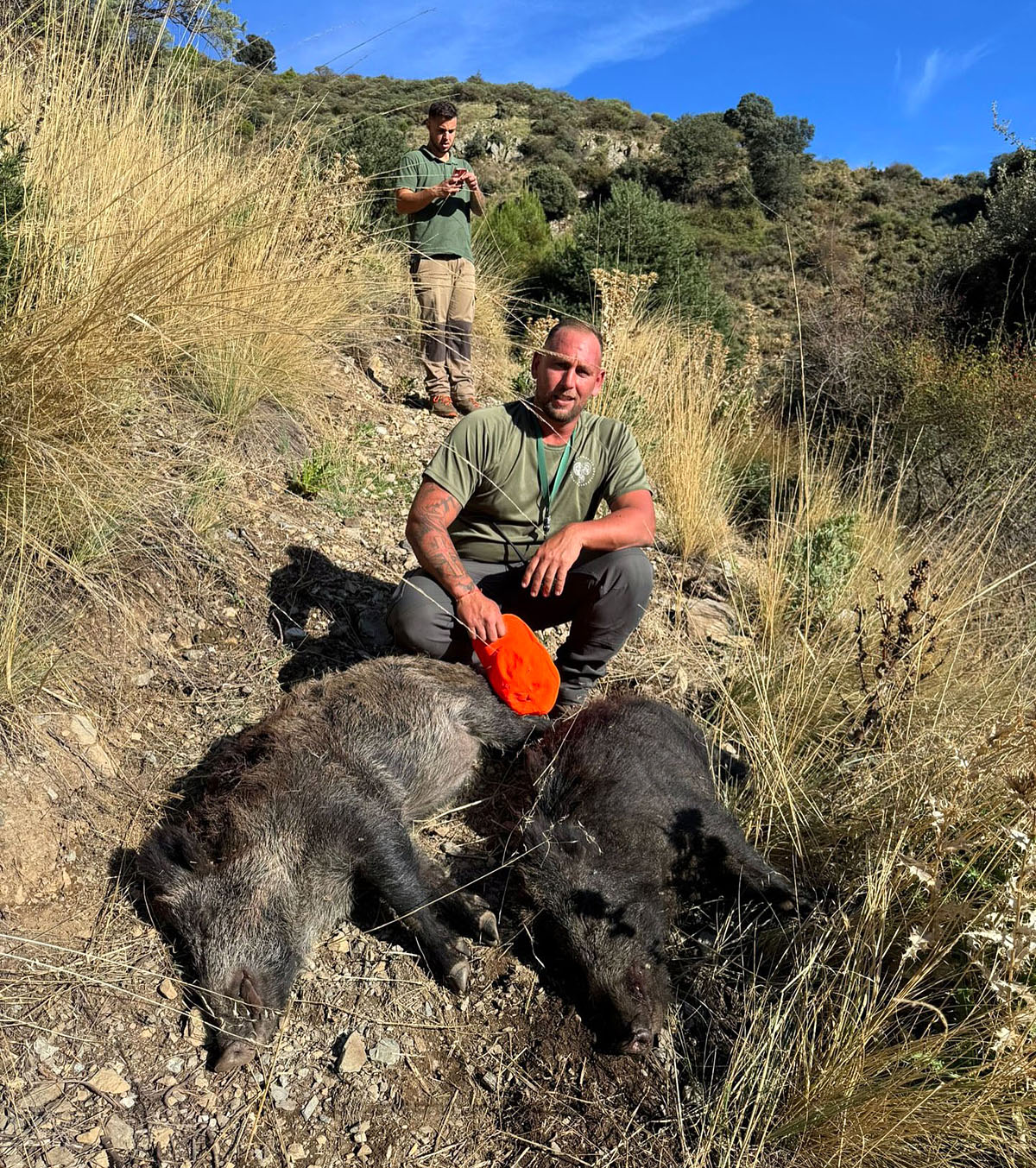 Los Dornajos jabalíes