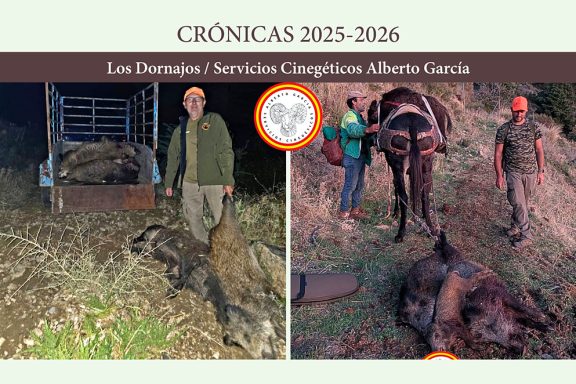 Los Dornajos jabalíes