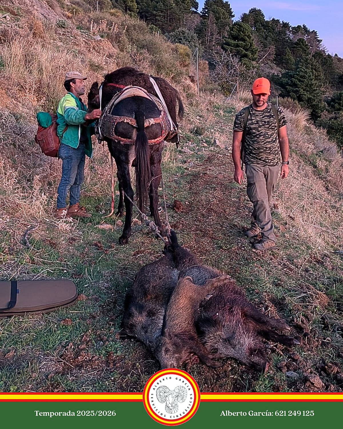 Los Dornajos jabalíes