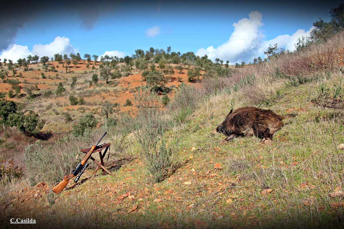 con José Carvalho montería