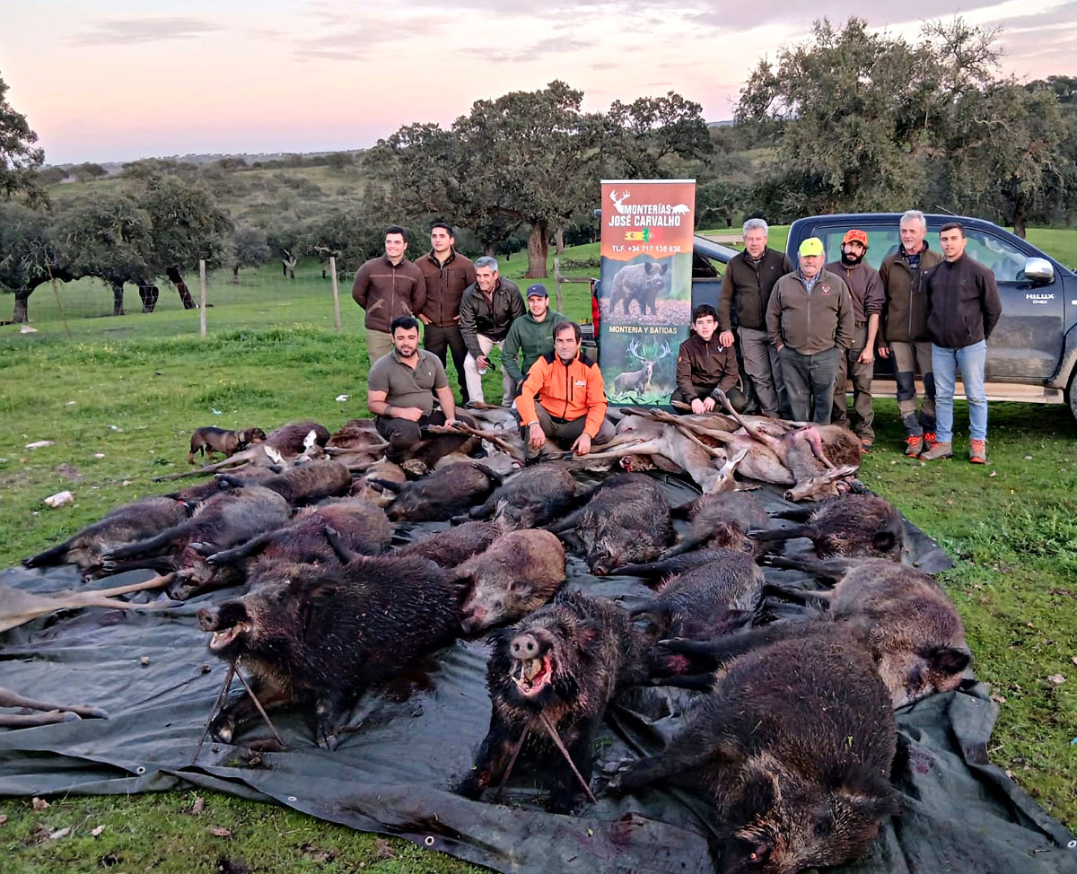 de Negrita montería